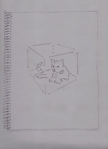 Schrodinger's Cat Schrodinger's Cat